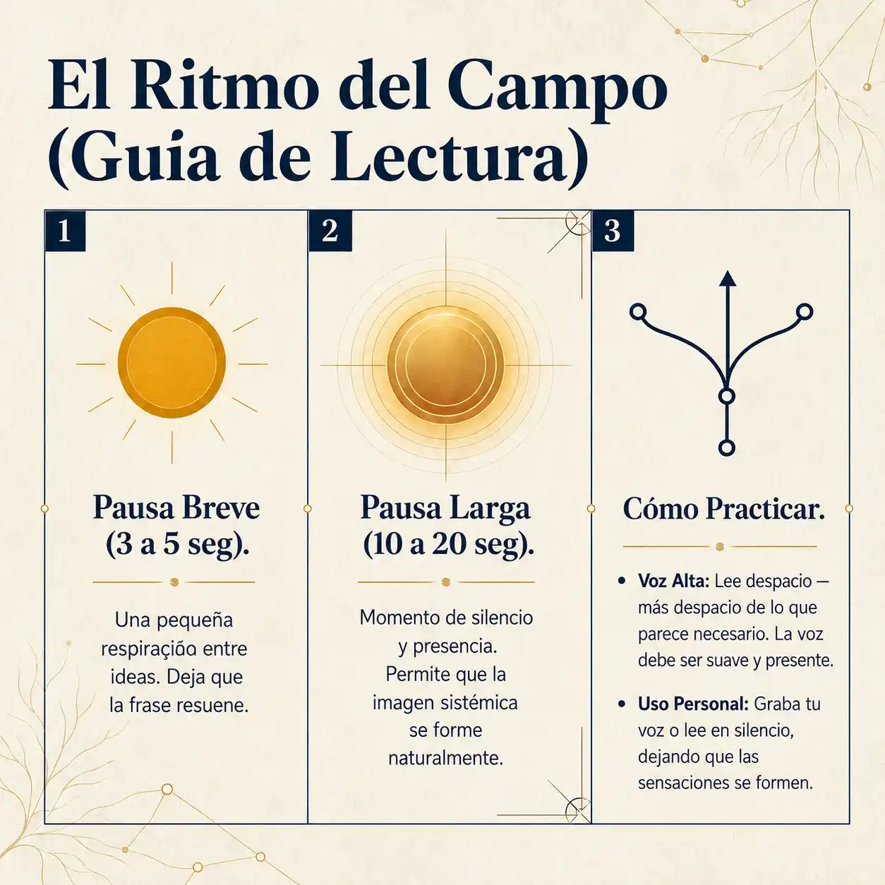 El Ritmo del Campo